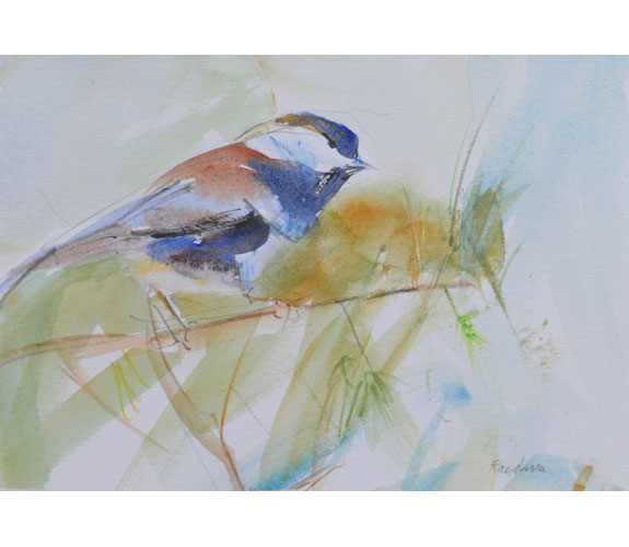 Randena Walsh "Chestnut-backed Chickadee"